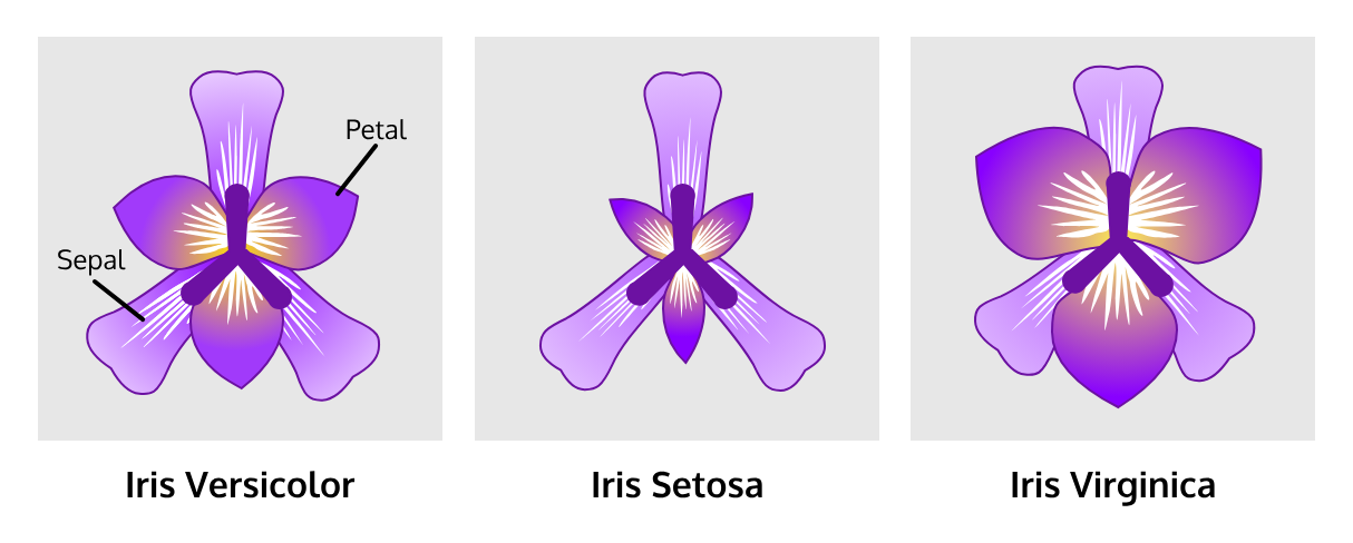 img_5.png